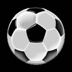 Natural Soccer手游(soccer star游戏)