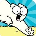 Simon’s Cat(西蒙的猫冲浪游戏)(西蒙西蒙)