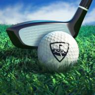 WGT Golf(WGT高尔夫球赛)(高尔夫wood)