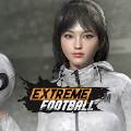 Extreme Football(极限足球2021)(football.games)