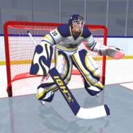 曲棍球比赛明星3DHockeyStars3D(曲棍球运动员名单)