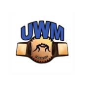 终极摔跤经理Ultimate Wrestling Manager(wwe终极碰撞2012出招表)