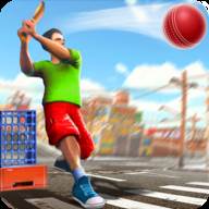 街头板球锦标赛Street Cricket(街球艺术秒板)