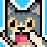 猫跳(猫跳蚤叮咬人怎么治疗)