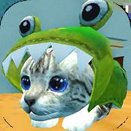 猫咪之家(猫咪之家图片)