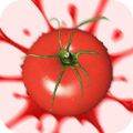 粉碎番茄CrushTomato(番茄粉的家常做法)
