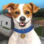 动物收容所游戏(Animal Shelter Simulator)(小动物收容)