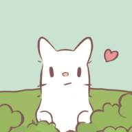 猫咪很可爱下载(猫咪好可爱下载)