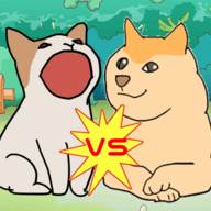 波波猫VS柴犬 (Pogo Puppy)(波波猫儿)