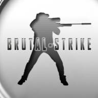 BrutalStrike联机战队(totally accurate battlegrounds联机)
