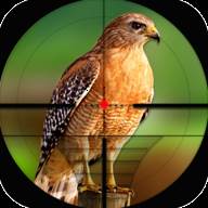 鸟类狩猎挑战Bird Hunting Challenge(打猎的鸟类)