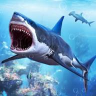 大白鲨生存模拟器(White Shark Attack Mission 3D)(大白鲨生存模拟器下载)