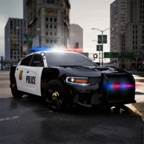 警车模拟器2023(警车模拟器2023无限金币版最新版下载)