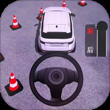 驾驶人生模拟器(人生模拟器考驾照)