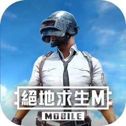 PUBG MOBILE(绝地求生国际服2025最新版)(PUBG MOBILE(绝地求生:刺激战场-地铁逃生重启))