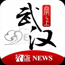 掌上武汉手机客户端(掌上武汉官网)