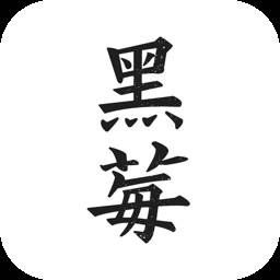 黑莓小说(黑莓小说app改名叫什么了)