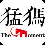 猛犸新闻app下载(猛犸新闻ceo)