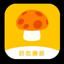 好吃蘑菇app(好吃蘑菇头)