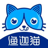 渔迦猫海鲜(渔猫和家猫的区别)
