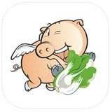 八毛玖app(生鲜配送)(八毛是什么植物)