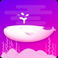 触娱语音互动app(触聊邀请码是什么怎么获得)