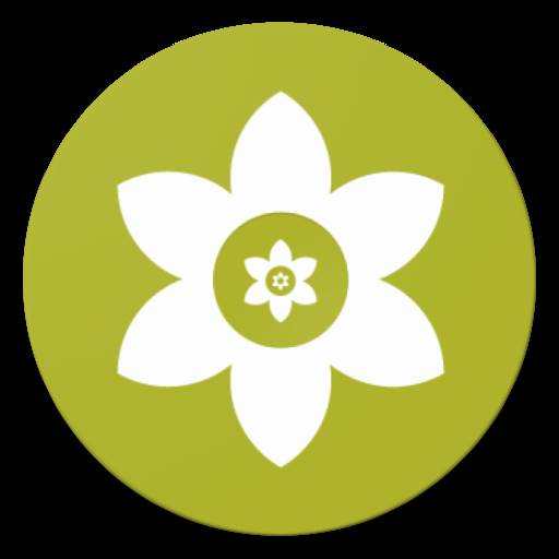 安装狮app(安装狮shizuku怎么用)