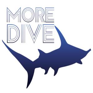 潜水指南MoreDive(潜水社交App)(潜水指南针使用方法)