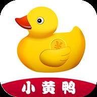 小黄鸭app(小黄鸭app官方下载二维码)