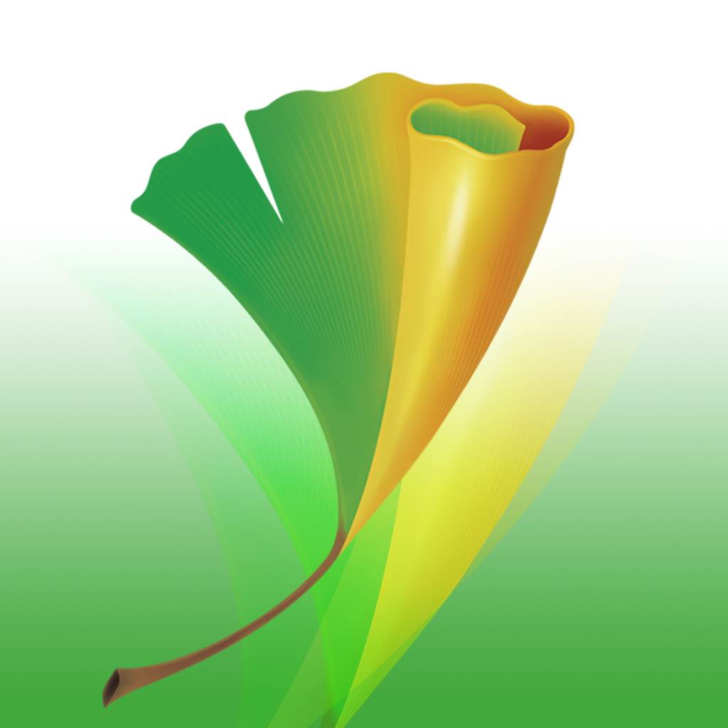 中国青年app(中国青年网)