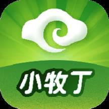 小牧丁(小牧丁牲畜在线交易市场app)