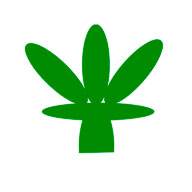 网上花木城app(网上花木城官网)