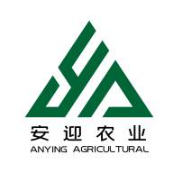 安迎商城(迎安百货店)