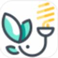 墨灯光强app(墨光是什么意思)