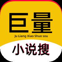 巨量小说搜app(巨量小说搜怎么用)