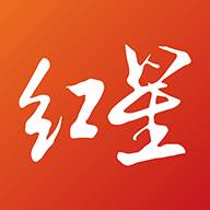 红星新闻app(红星新闻app爆料一般几天回复)