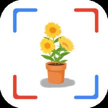 花朵识别app(花朵识别图)
