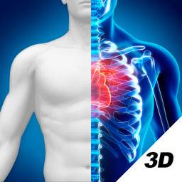 3D人体解剖图谱app(3d人体解剖图谱app)