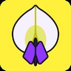紫藤网app(紫藤网名)