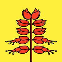 炮竹红app(炮竹红图片)