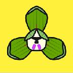 富贵兰app(富贵兰花)