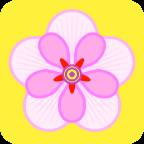 芙蓉花app(芙蓉花的养殖方法)