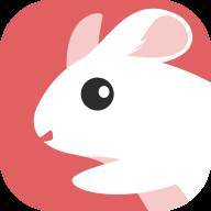 龙猫速赚app(龙猫兼职官网)