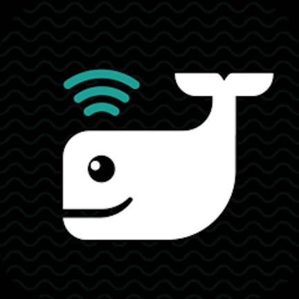 有戏app(唬牌游戏app)