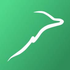 爱照护app(爱照护公司怎么样)