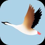 鸿雁速赚app(鸿雁智能app官网)