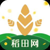 稻田网app(稻田网名)