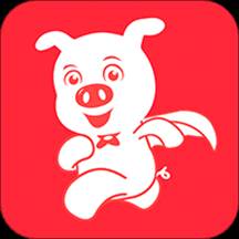懒猪快送app(懒猪快送官网)