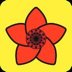 木棉花app(木棉花的花语是什么)