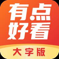 有点好看大字版app(好看的大写字)